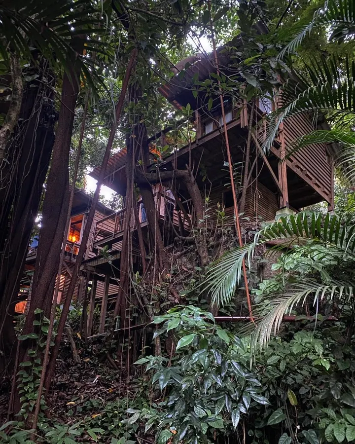 Casas na Árvore — Hostel da Vila, foto 1
