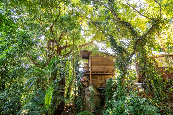 Casas na Árvore — Hostel da Vila, foto 4